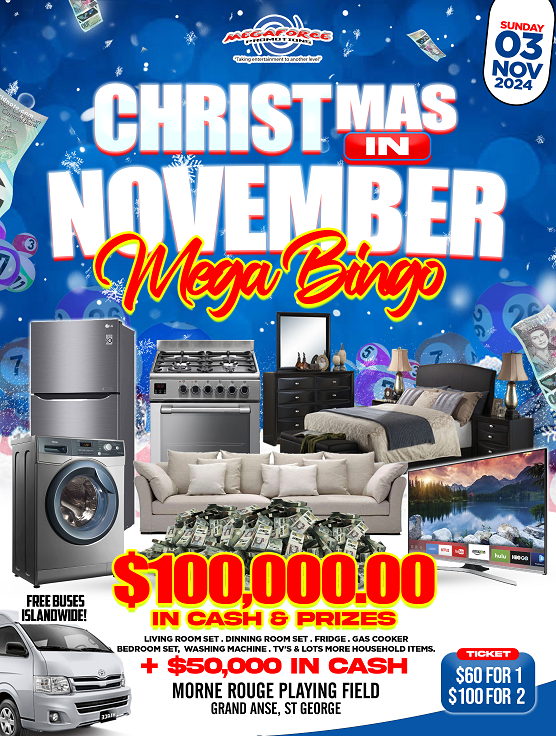 CHRISTMAS IN NOVEMBER MEGA BINGO