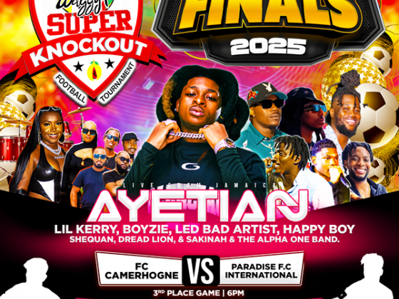 Waggy T Super Knockout Finals