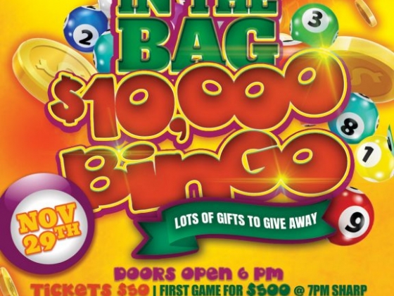 The Money in the Bag BINGO