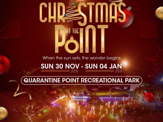 Christmas at The Point 2025