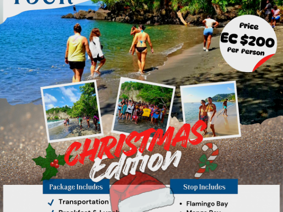 Hidden Beaches Tour Christmas Edition