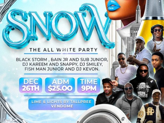 Snow - The all White Party
