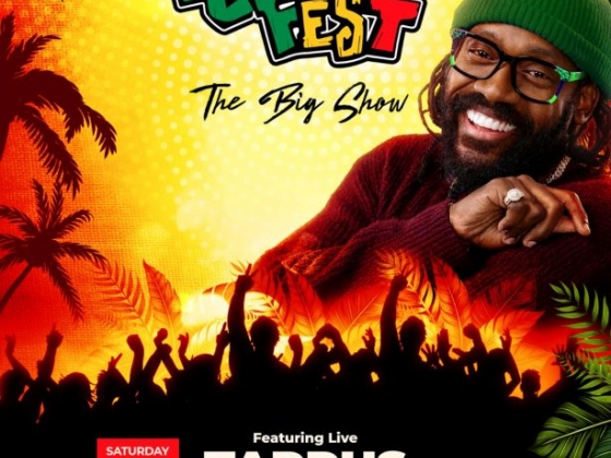 Reggae Fest - The Big Show