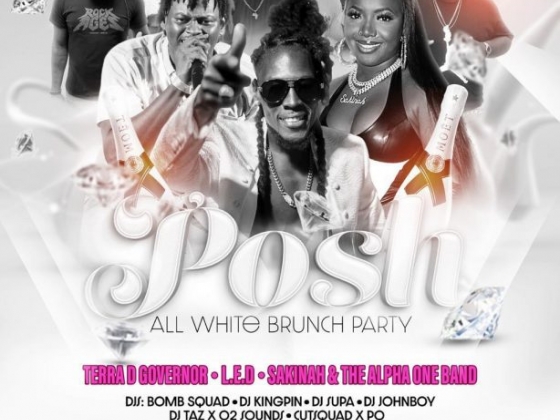 Posh All White Brunch Party