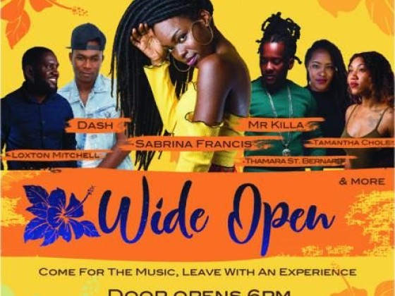 Sabrina Francis celebrates Grenadian soul music with first ever Wide Open Concert
