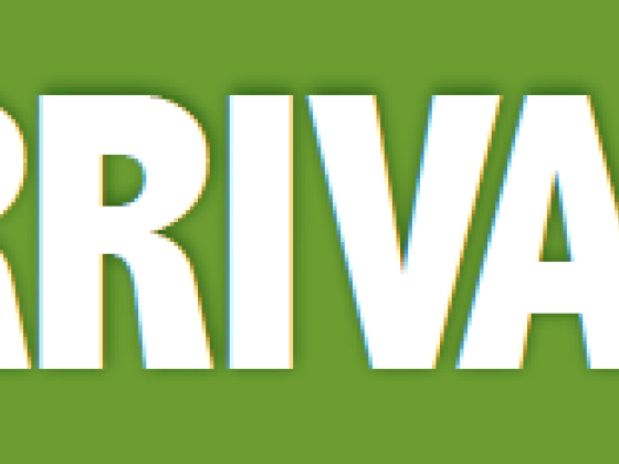 Whatz On at Courts 12th November 2013