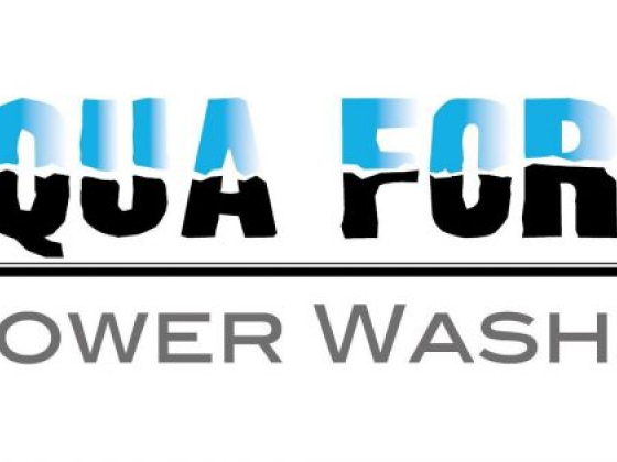 Need your concrete yard, clay tiles, stone work etc. pressure washed for Christmas? Call 416-2562