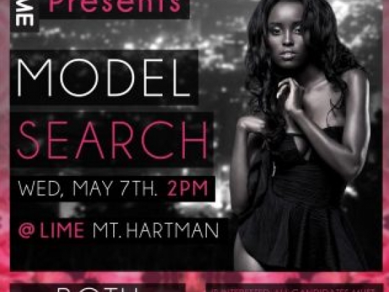 LIME Model Search