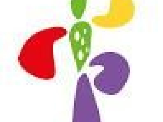 SMC/LIME SOCA MONARCH SEMI FINALIST 2014